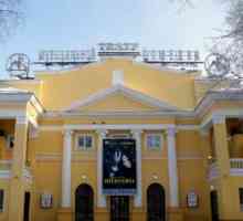 Театър на музикалната комедия, Новосибирск: история, трупа, репертоар