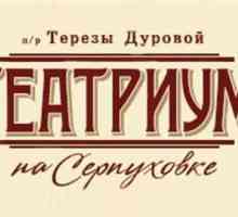 Театър Тереза ​​Дурова: репертоар, рецензии