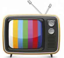 Телевизията е ... Какви са видовете телевизия?