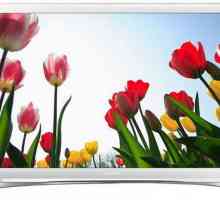 TV Samsung UE22H5610AK - идеалният инструмент за забавление