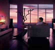TV: оценка на качеството. Оценка на най-добрите LCD телевизори, интелигентни телевизори