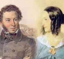 Темата за любовта в руската литература от XIX-XX век. примери
