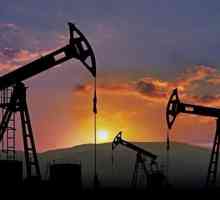Теории за произхода на нефта: органични и неорганични. Етапите на образуване на масло. Колко дълго…