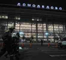 Терористичната атака в Дододедово: хронология на събитията, причините, последствията