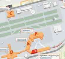 Терминали и схема на летище Шереметиево
