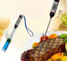 Термометър за месо със сонда и игла: снимка, инструкция