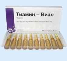 "Thiamin-Vial": инструкции за употреба