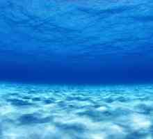 Тихия океан: релефът на дъното. Характеристики на релефа на дъното на Тихия океан