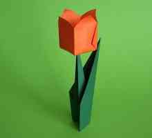 Оригами лалета: красиви и елегантни