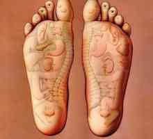 Точките на крака, които са отговорни за органите. Акупунктурните точки на краката