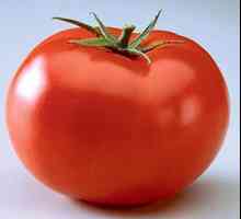 Tomat Beefe: описание, характеристики. Големи месести домати за салати и сокове