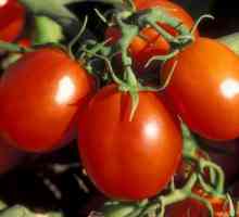 Tomato De Barao: описание, култивиране и добив