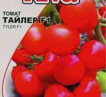 "Домати" Tyler "F1 описание на хибридния вариант на домати