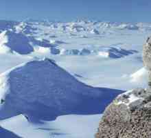 Трансантарктически планини: местоположение, характеристики на формирането, интересни факти