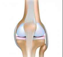 Наранявания на коляното. Мениск: повреда, лечение, адаптация