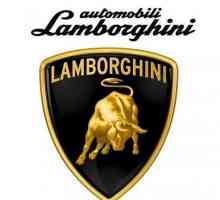 Триколка "Lamborghini" за деца: преглед, спецификации и отзиви
