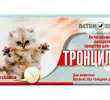 "Trontsil-K" за котки: начин на приложение, дозировка, противопоказания, прегледи