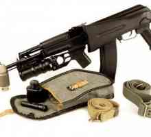 TTX Kalashnikov нападение пушка, устройство и цел
