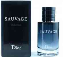 Тоалетна вода Вода Dior Sauvage: ревюта, пирамида, цена