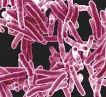 Туберкулоза на червата: причини, симптоми, диагноза и лечение