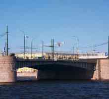 Мостът Тучков (Санкт Петербург). Мост Тучков: снимка