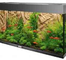 Шкаф за аквариум - многофункционално и стилно решение