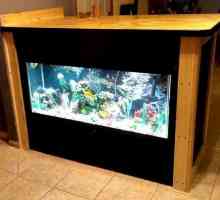 Шкаф за аквариума със собствени ръце: снимка и рисунка