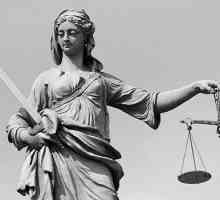 Участие в арбитражния процес на прокурора: форми, задачи, особености
