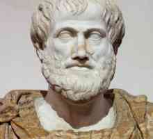 Доктрината на Аристотел за държавата и закона