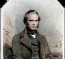 Учен Чарлс Дарвин: биография, теория и откритие. Чарлз Дарвин: Кратка биография