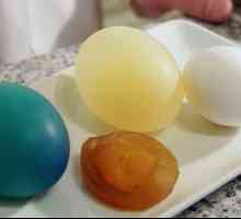 Изумителен експеримент с яйце и оцет