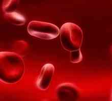 Нивото на хемоглобина в кръвта: нормата и патологията