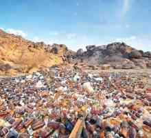 Изхвърляне на биологични отпадъци - основните точки