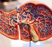 Уголемяване на черния дроб: симптоми и лечение, причини, превенция