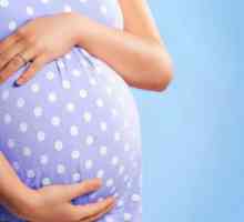 Ултразвук по време на бременност: процента е важен?