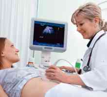 Научаваме колко често е възможно да се направи ултразвук по време на бременност