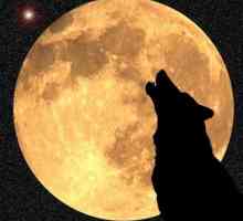 Разберете защо всъщност вълците вият на Луната