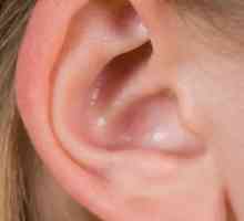 Каква е причината за пълнените уши?