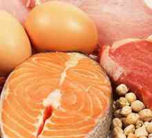 Какво представлява протеинът? Списък на най-полезните продукти