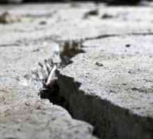 В Иркутск, земетресение, което притеснява целия град
