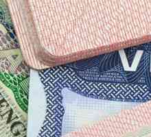 Кои държави се нуждаят от транзитна виза и как да я получат