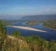 В каква посока тече река Волга? Описание на голямата река