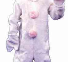В Нова година, за да се смея, ние шият с бебе костюм!