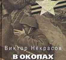 "В окопите на Сталинград": обобщение на главите, анализ