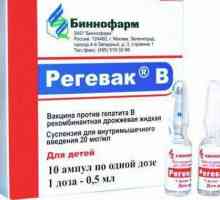 Ваксина "Regevac B": описание, състав, инструкции за употреба и ефективност