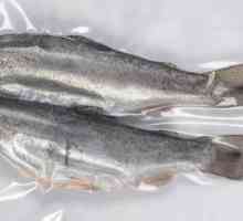 Вакуумна опаковка на риба - гаранция за нейното дългосрочно съхранение