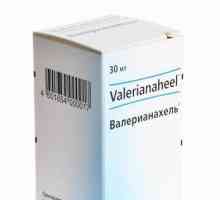 "Валерианел": инструкции за употреба. Отзиви за хомеопатичното лекарство
