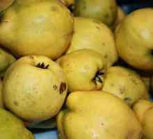Дюля се запазва с лимон и орехи: стъпка по стъпка рецепта