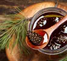 Jam от борови шишарки: рецепта за готвене, ползи и вреда