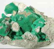 Variscite: свойствата на камъка са магически и лечебни. Камъните по хороскопа